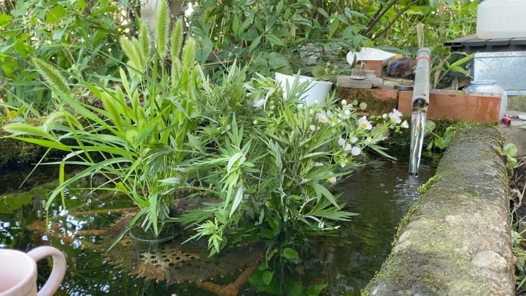湧水