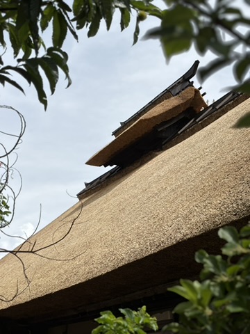 茅葺き屋根 小谷屋根